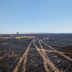 incendiu de vegetatie uscata in localitatea arsa intervin pompierii de la sectia mangalia 68654e5ae29b4