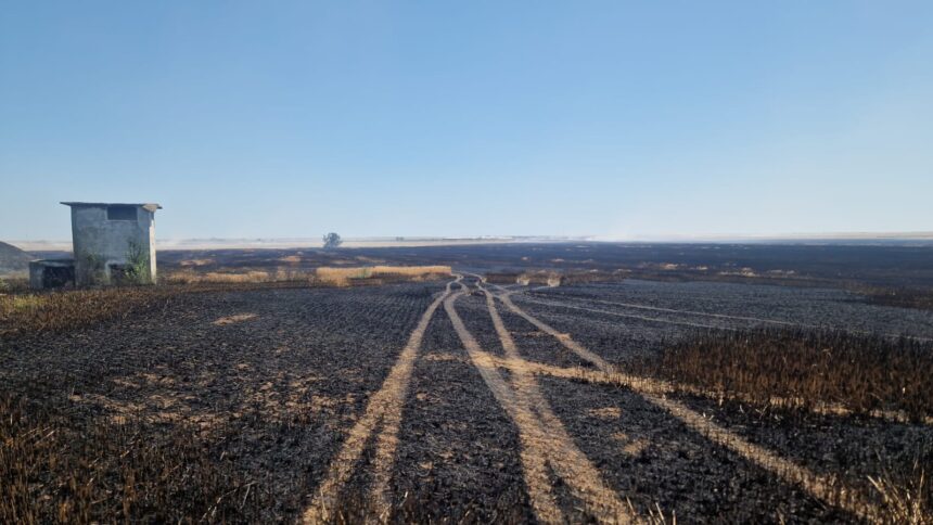 incendiu de vegetatie uscata in localitatea arsa intervin pompierii de la sectia mangalia 68654e5ae29b4