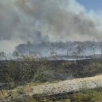 incendiu de vegetatie uscata intre localitatile mangalia si albesti 686f9b23944ac