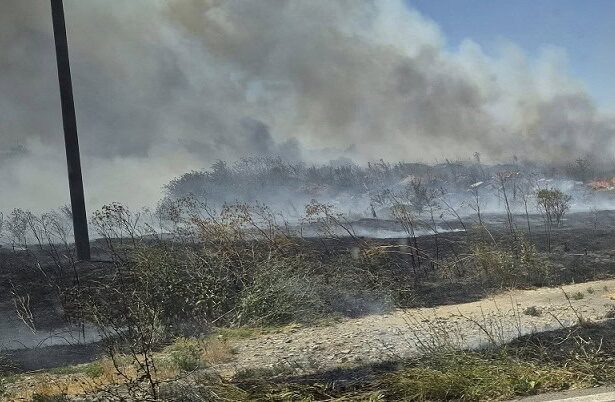 incendiu de vegetatie uscata intre localitatile mangalia si albesti 686f9b23944ac