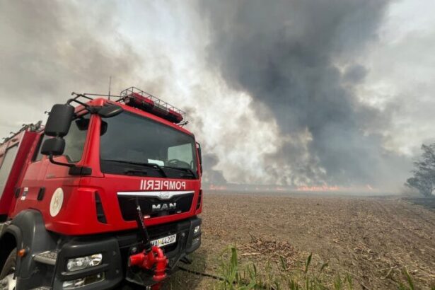 incendiu langa techirghiol traficul rutier este oprit pe ambele sensuri al dn 38 agigea negru voda 686f909b87de0