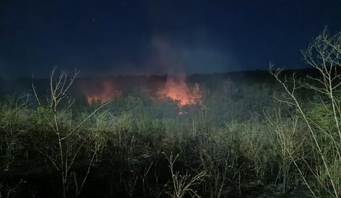 incendiu violent in satul casian au intervenit pompierii cu 7 autospeciale de stingere 68749ad4e2a49