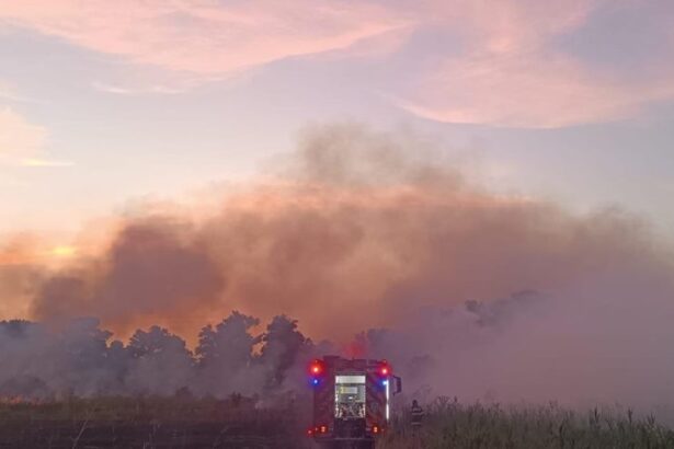 incendiul de padure si vegetatie de langa greci tulcea nu a fost stins pompieri si voluntari lupta cot la cot pentru oprirea flacarilor 6875f6e96c5a4