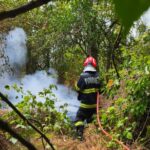 incendiul din muntii macinului a fost lichidat vegetatie specifica arbori si ierburi mistuite de flacari 6876676268f85