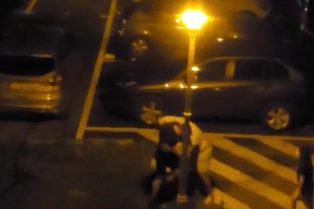 individul care ii spunea sotiei te iubesc dar iti tai un picior condamnat pentru ca a batut un om al strazii 68645f122cb7d