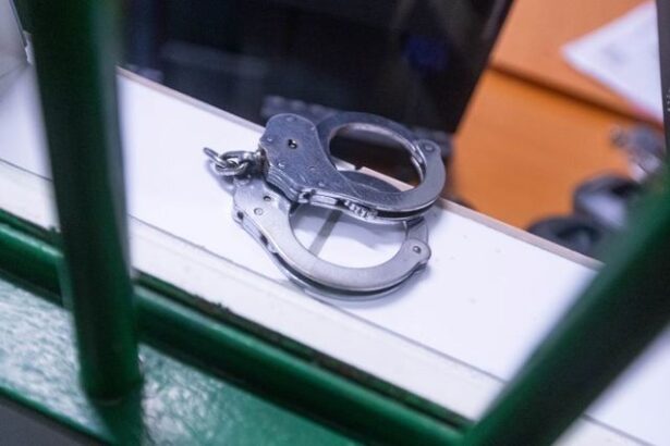 inspector de la salubritatea din sectorul 3 al capitalei arestat intr un dosar de lipsire de libertate santaj distrugere si amenintare 687280e61c5fe