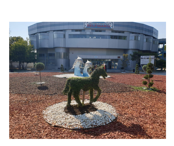 Reamenajarea intrării la microrezervația din Constanța cu sprijinul unui ONG 1 intrarea la microrezervatia din constanta a fost reamenajata cu sprijinul unui ong 686d54742c884