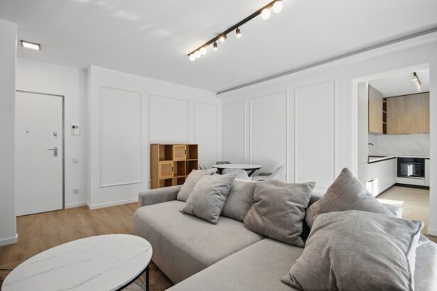 investitorii imobiliari devin tot mai activi pe fondul incertitudinilor fiscale si a scaderii ofertei rezidentiale indica vlad musteata de la nbi 686fef66aa372