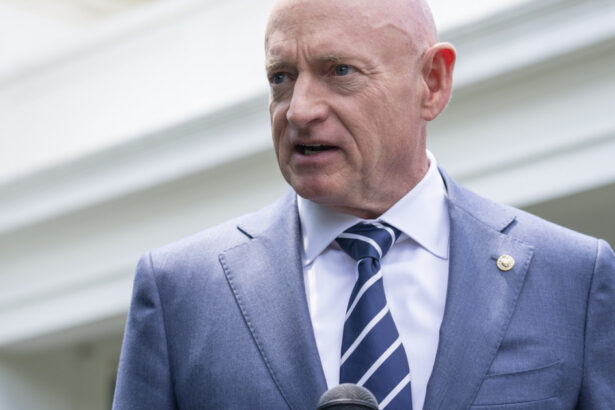 ionut mosteanu s a intalnit cu mark kelly membru al comisiei pentru forte armate in senatul sua ce au discutat cei doi 6866db442cb59