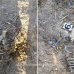 judecatorii amana dosarul oilor ingropate la smardan vezi aici cand a fost fixat noul termen la curtea de apel constanta 68713d6e561a7