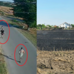 la un pas de dezastru au fost identificati tinerii care au dat foc vegetatiei uscate de langa casele din poarta alba 686d33d83d50e
