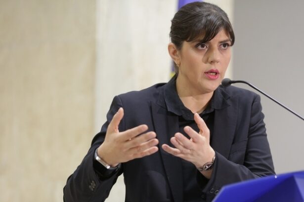 laura codruta kovesi spune ca frauda cu tva a devenit mai profitabila decat traficul de persoane si de droguri pe zona aceasta romania a devenit un teritoriu fertil pentru mafia italiana si cea chin 688b12df89542