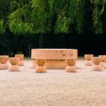 lege promulgata 2026 va fi anul constantin brancusi 6884e6b3aed11