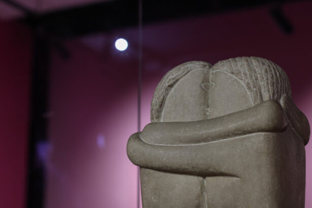 legea pentru instituirea lui 2026 ca anul constantin brancusi promulgata 6882006be625c