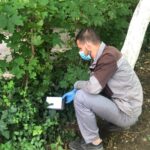 licitatia de peste 70 de milioane de lei pentru deratizare la constanta contestata cnsc obliga primaria sa modifice caietul de sarcini 68757496694b0