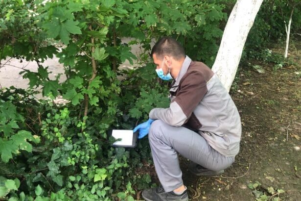 licitatia de peste 70 de milioane de lei pentru deratizare la constanta contestata cnsc obliga primaria sa modifice caietul de sarcini 68757496694b0