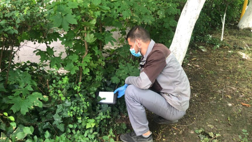 licitatia de peste 70 de milioane de lei pentru deratizare la constanta contestata cnsc obliga primaria sa modifice caietul de sarcini 68757496694b0