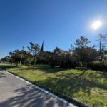 lucrarile de reabilitare a parcului tabacarie se apropie de final trenuletul ar putea fi repus in functiune 68718ac6185ca