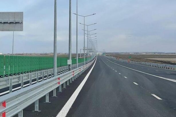 mai multe vaci au rupt gardul de protectie pe autostrada a3 in dreptul localitatii voluntari si au intrat pe sosea 687f892622634