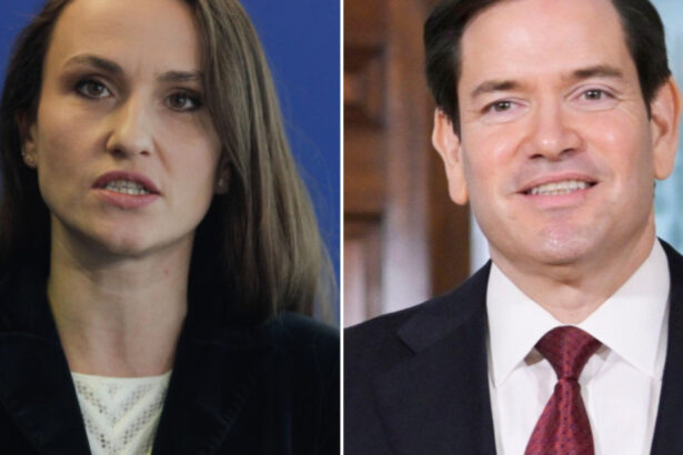 marco rubio a discutat cu oana toiu anuntul departamentului de stat al sua 688bd5a022e5a