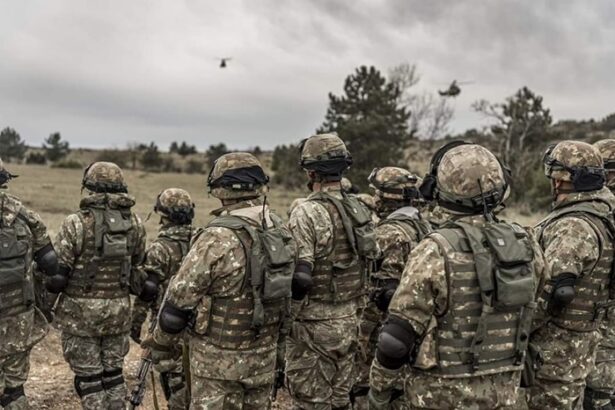 ministrul apararii nationale voluntariat militar in termen cu sesiuni de pregatire de patru luni 6877f81d4689b