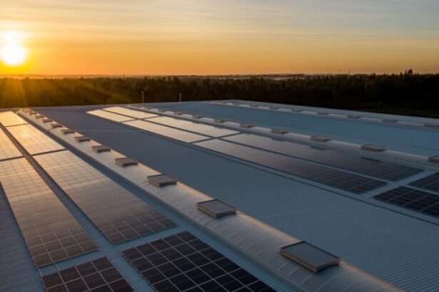 ministrul mediului programul de fotovoltaice este deocamdata in analiza pentru 2025 68823690cd781