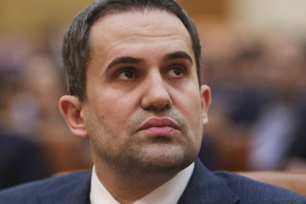 ministrul transporturilor voi folosi toate prerogativele ca indemnizatiile membrilor ca aflate in subordine sa scada drastic 686be0be450d3