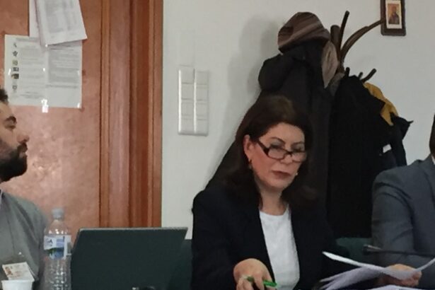 mirela calugareanu preia atributiile functiei de presedinte al curtii de conturi a romaniei 6875fe05a82a5