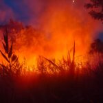 misiune cumplita la tulcea pentru salvarea padurii alte 30 de hectare de fond forestier devorate de flacari pompierii inca sting focarele 686ac590d7e8a