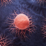 Mutația genetică „subtilă” care îi face pe oameni vulnerabili la cancer: explicația cercetătorilor și comparația cu alte primate. 3 mutatia genetica subtila care i face pe oameni vulnerabili la cancer explicatia cercetatorilor si comparatia cu alte primate 6870b2bd68365