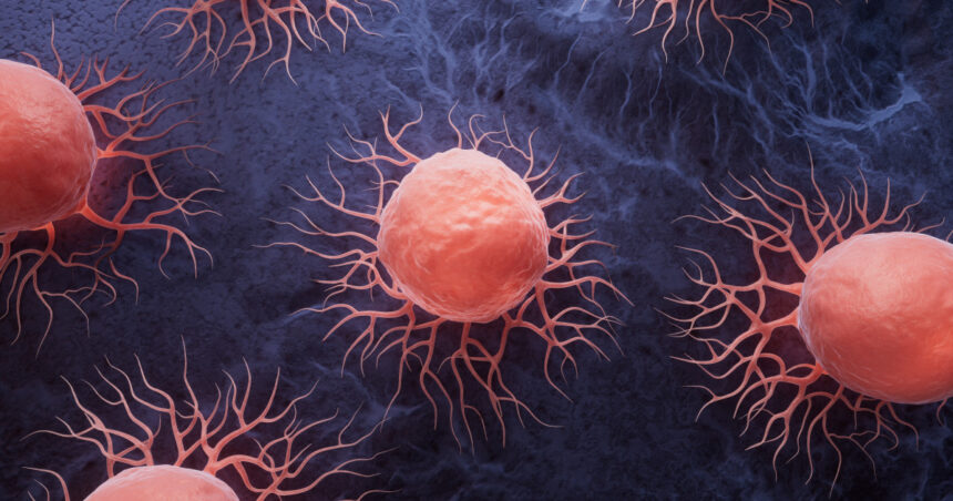 Mutația genetică „subtilă” care îi face pe oameni vulnerabili la cancer: explicația cercetătorilor și comparația cu alte primate. 1 mutatia genetica subtila care i face pe oameni vulnerabili la cancer explicatia cercetatorilor si comparatia cu alte primate 6870b2bd68365