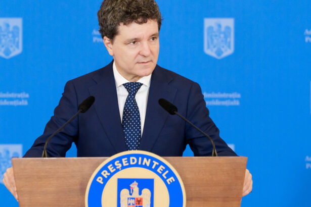 nicusor dan anunta in presa germana cum va alege sefii serviciilor secrete ce a spus presedintele despre anularea alegerilor 687a4dbb4a139