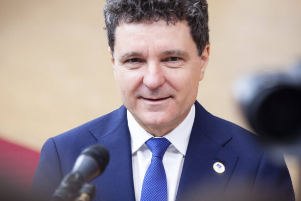 nicusor dan interviu in presa germana despre alegeri relatia cu trump si deficit am o intelegere foarte geometrica a lucrurilor 687a33a8b5683