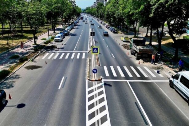 noi scuaruri mediane amenajate pe bulevardul lapusneanu din constanta si in statiunea mamaia 686e8b38a9022