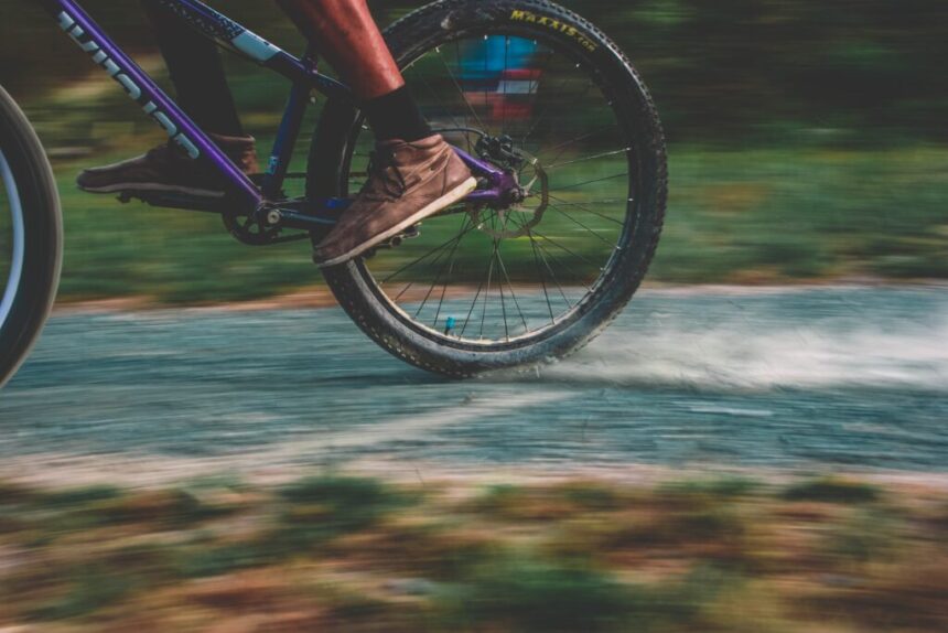 Piste de biciclete în valoare de 1,82 milioane lei în comuna Albești: află ce societate va realiza lucrările de infrastructură 1 piste de biciclete in valoare de 182 milioane lei in comuna albesti vezi ce societate va executa lucrarile de infrastructura 68861d2c6df74