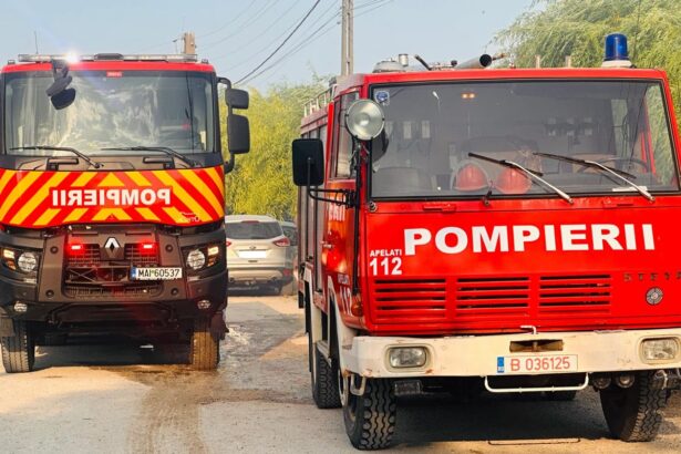 pompierii din medgidia si valu lui traian isi unesc fortele sa stinga un incendiu la castelu iata ce a luat foc 68777d5627692