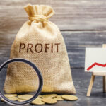 premiera afacerile companiilor controlate de guvern au trecut pentru prima data de 100 de miliarde de lei si cheltuielile cu salariile au crescut profitul este in scadere 687eb3082bbe5