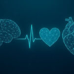premiera medicala romania are o strategie nationala pentru combaterea bolilor cardiovasculare si cerebrovasculare 2025 2030 687551a77a166