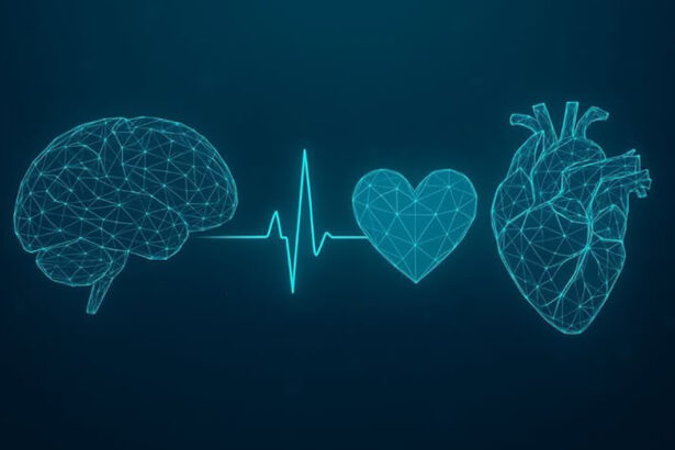 premiera medicala romania are o strategie nationala pentru combaterea bolilor cardiovasculare si cerebrovasculare 2025 2030 687551a77a166