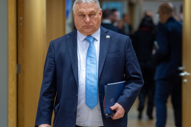 premierul ilie bolojan si viktor orban prim ministrul ungariei intalnire informala miercuri seara la palatul victoria 687fcba7e7613