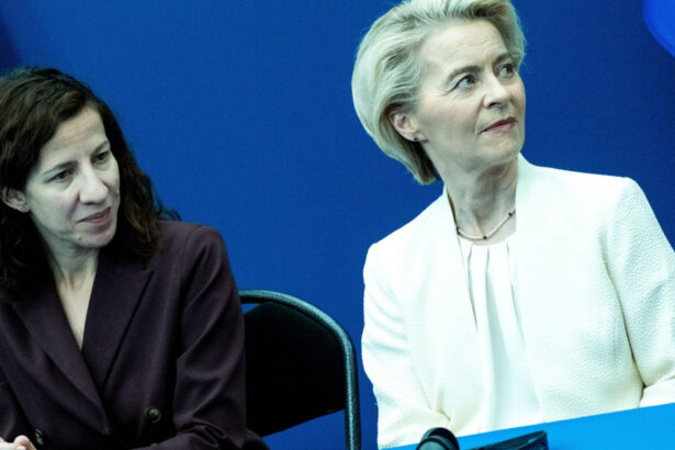roxana minzatu nemultumita de planul bugetar al ursulei von der leyen sefa ce face concesii ca sa evite o revolta interna 6876128fa9e0a