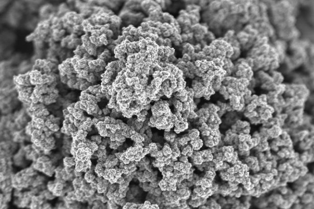 salrom va intra pe lista marilor producatori europeni de materii prime critice 68811d7189a06