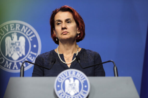scandalul anastasiu ioana dogioiu leaga acuzatiile la adresa vicepremierului de reforma companiilor de stat 688372c3ea942