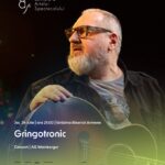 seria seasmusic este deschisa la constanta cu un concert care nu seamana cu nimic din ce ati mai auzit gringotronic 68817ad8a71dd
