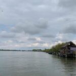 situatie critica in delta dunarii din cauza scaderii debitului fluviului apel catre pescari 686e0a581d32b
