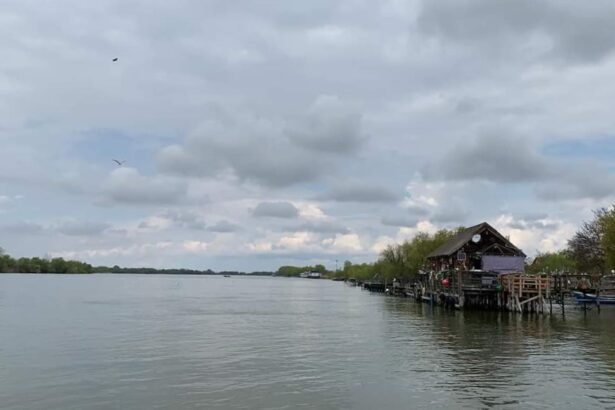 situatie critica in delta dunarii din cauza scaderii debitului fluviului apel catre pescari 686e0a581d32b