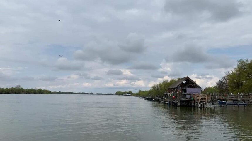 Situație critică în Delta Dunării din cauza scăderii debitului fluviului: apel adresat pescarilor 1 situatie critica in delta dunarii din cauza scaderii debitului fluviului apel catre pescari 686e0a581d32b