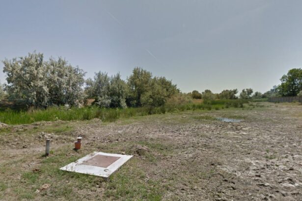 societatea sea protect group srl pierde un teren in sfantu gheorghe 6880552f518fe