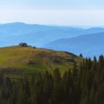 surpriza sts se implica in monitorizarea padurilor romaniei 687837c3363bd