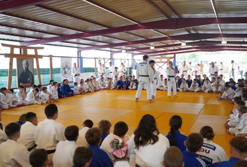 sute de judoka vin la traditionalul stagiu organizat anual de cs pantheon constanta 6874f30301fe8